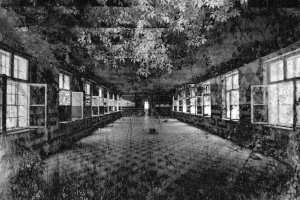 fot. Marek Kucharczyk