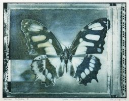 Zbigniew Wielgosz (1953 - 2016)