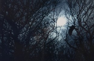 Wiktor Wołkow (1942 - 2012)