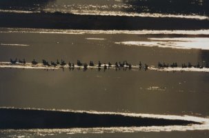 Wiktor Wołkow (1942 - 2012)