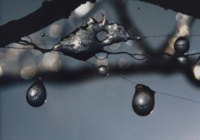 Wiktor Wołkow (1942 - 2012)