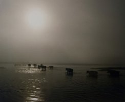 Wiktor Wołkow (1942 - 2012)