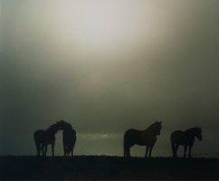 Wiktor Wołkow (1942 - 2012)