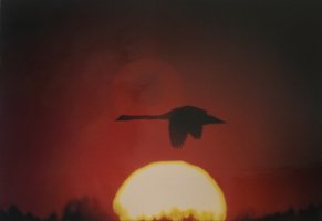 Wiktor Wołkow (1942 - 2012)