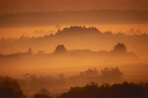 Muzeum Fotografii Wiktora Wołkowa - Podlasie w obiektywie. Emocje w sercu