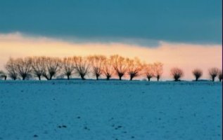Wiktor Wołkow (1942 - 2012)