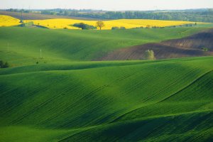 Witold Koleszko - Morawy