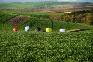 Witold Koleszko - Morawy