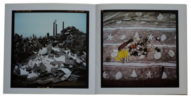 Wojciech Prażmowski - Polskie ogrody