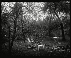 Wojciech Zawadzki - 100 fotografii 1975-2006