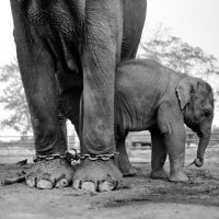 Wojtek Moskwa - Sansara Nepal