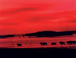 Wiktor Wołkow (1942 - 2012)