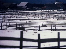 Wiktor Wołkow (1942 - 2012)