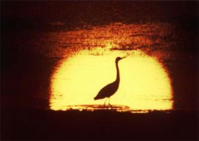 Wiktor Wołkow (1942 - 2012)