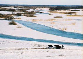 Wiktor Wołkow (1942 - 2012)