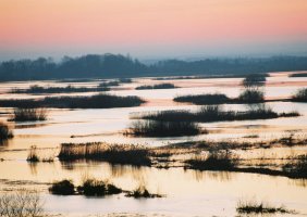 Wiktor Wołkow (1942 - 2012)