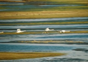 Wiktor Wołkow (1942 - 2012)