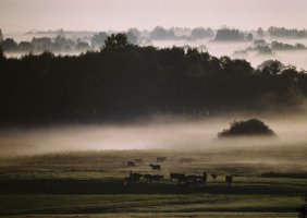 Wiktor Wołkow (1942 - 2012)
