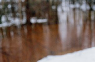 Wojciech Prażmowski - Miłosz. Tutejszy