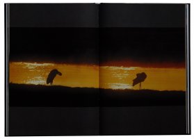 Wiktor Wołkow - Bocian