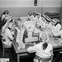 Wiesław Wojtycza - 50 lat fotografii - zdjęcia wybrane