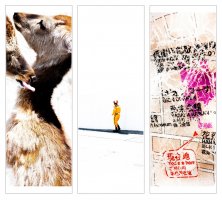 Wojtek Wieteska - Paradise 101