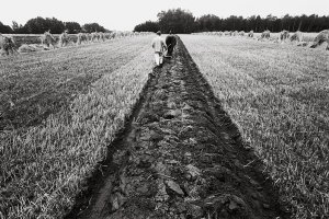 Stanisław Kulawiak - Portfolio. Fotografie z lat 1974-2021