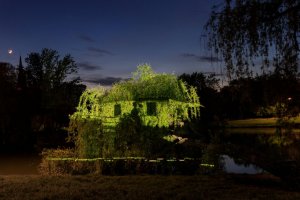 Katerina Kouzmitcheva - Locals