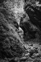 Krzysztof Strzoda - Tomik poezji mały