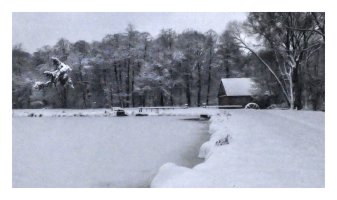 Tomek Sikora - Widzenie Świata Sikory