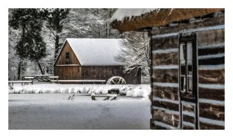 Tomek Sikora - Widzenie Świata Sikory