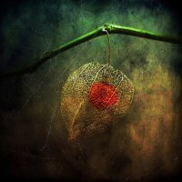 Fotoklub Zagreb - Tradycja i nowoczesność