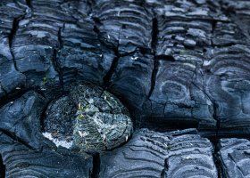 Zainspirowani - wystawa słuchaczy PSAK