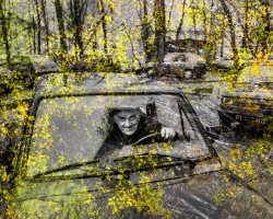 Zbigniew Bzdak - Przeszłość jest wieczna