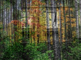 Zbigniew Bzdak - Przeszłość jest wieczna