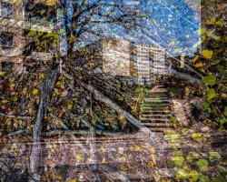 Zbigniew Bzdak - Przeszłość jest wieczna