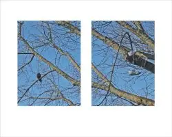 Zbigniew Tomaszczuk - Teoria Widzenia