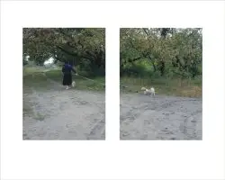 Zbigniew Tomaszczuk - Teoria Widzenia