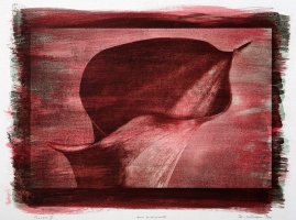 Zbigniew Wielgosz (1953 - 2016)