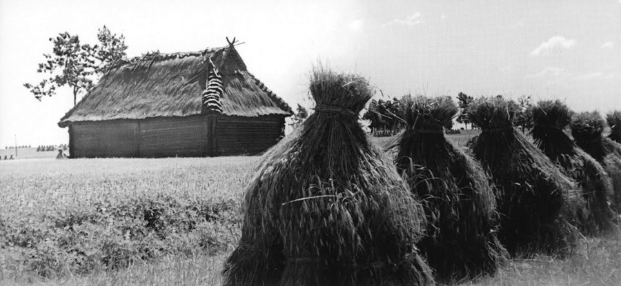Fotograf Polesia