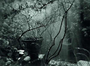 josef Saudek