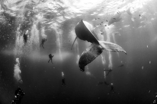 World-press-photo-2016 26