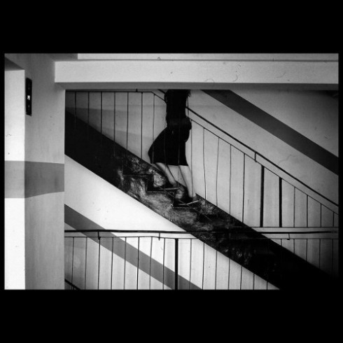 Cato Lein 10