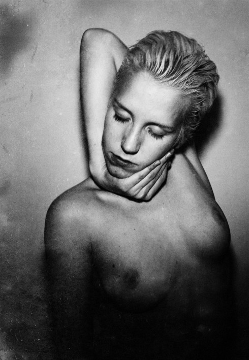 Cato Lein 3