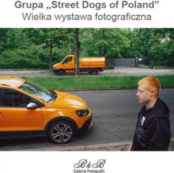 sd-of-poland