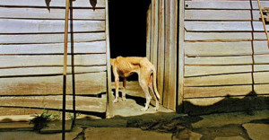 Ernesto-Bazan