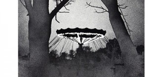 edmund witecki