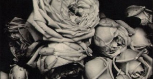 Steichen Edward (1879 - 1973)