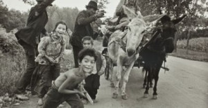Krzysztof Pawela - Spostrzeżenia. Fotografie z lat 1977 - 1988