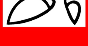 Życie Polonii w obiektywie - konkurs fotograficzny